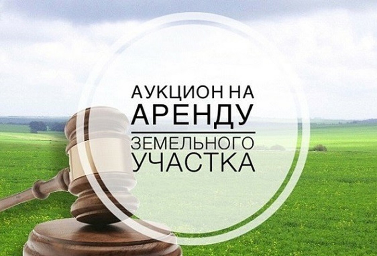 Read more about the article Жерди ижарага берүү аукциону